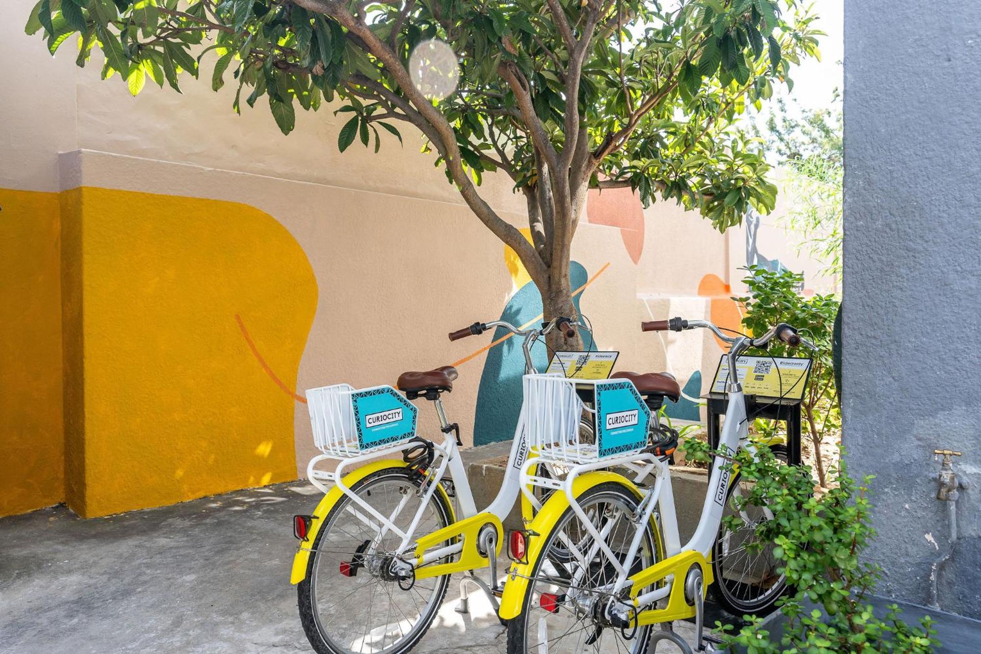 Curiocity Kloof Street Cidade Do Cabo Exterior foto